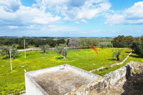 Landejendom i Carovigno, Brindisi, Carovigno - € 3.500.000 | Ref: 122559 - foto 2